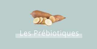 les prébiotiques